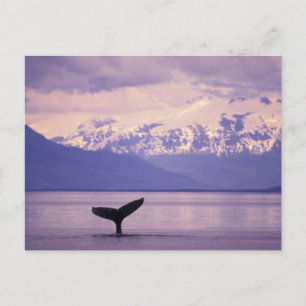 Postal América del Norte, EE.UU., Alaska, Paso interno.