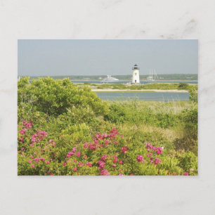 Postal América del Norte, EE.UU., Massachusetts, Martha's