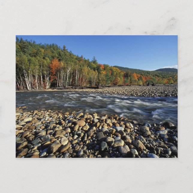Postal América del Norte, EE.UU., NH, Una playa de adoqui (Anverso)