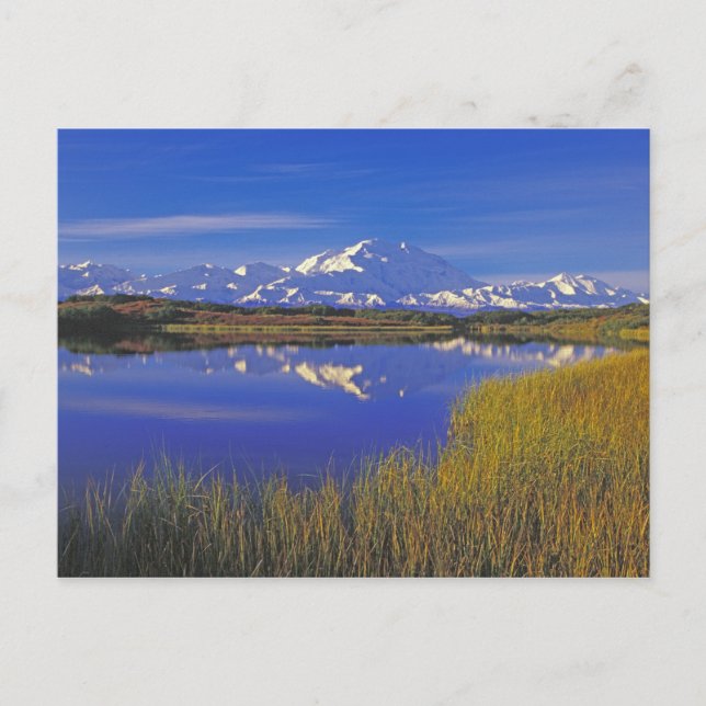 Postal América del Norte, Estados Unidos, Alaska, Denali  (Anverso)