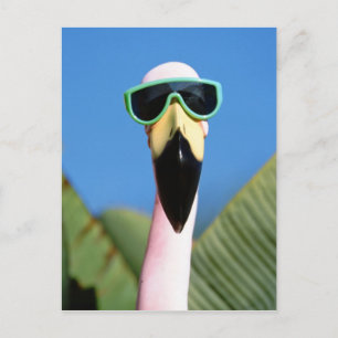 Postal América del Norte, Estados Unidos, California, San