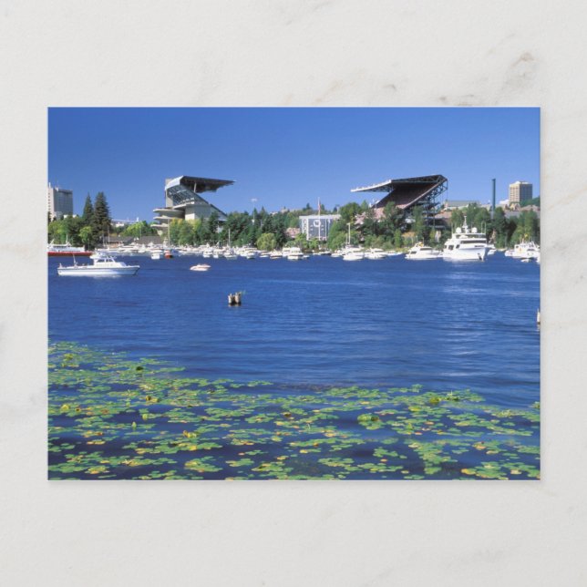 Postal América del Norte, Estados Unidos, Estado de Washi (Anverso)