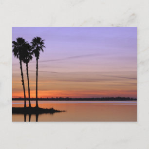 Postal América del Norte, Estados Unidos, Florida, Monte 