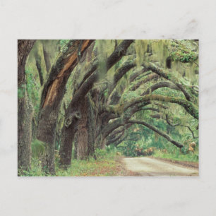 Postal América del Norte, Estados Unidos, Georgia, Cumber