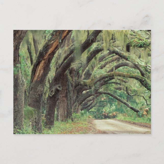 Postal América del Norte, Estados Unidos, Georgia, Cumber (Anverso)