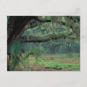 Postal América del Norte, Estados Unidos, Georgia, Cumber