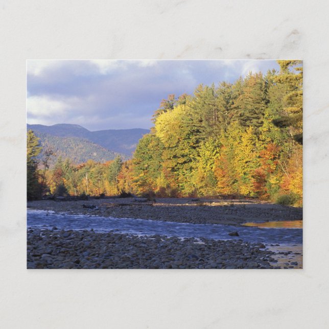 Postal América del Norte, Estados Unidos, NH, río Saco. C (Anverso)