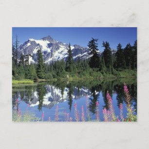 Postal América del Norte, Estados Unidos, Washington, Hea