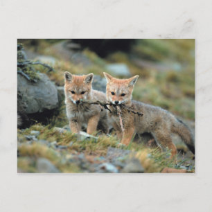 Postal América del Sur, Chile, Nacional Torres del Paine