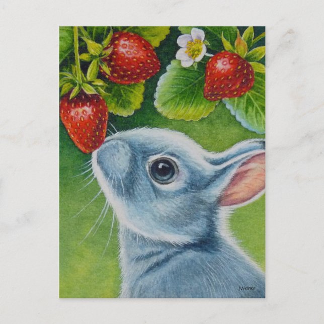Postal American Blue Rabbit & Strawberries Watercolor Art (Anverso)