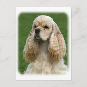 Postal American Cocker Spaniel 9Y244D-035_2