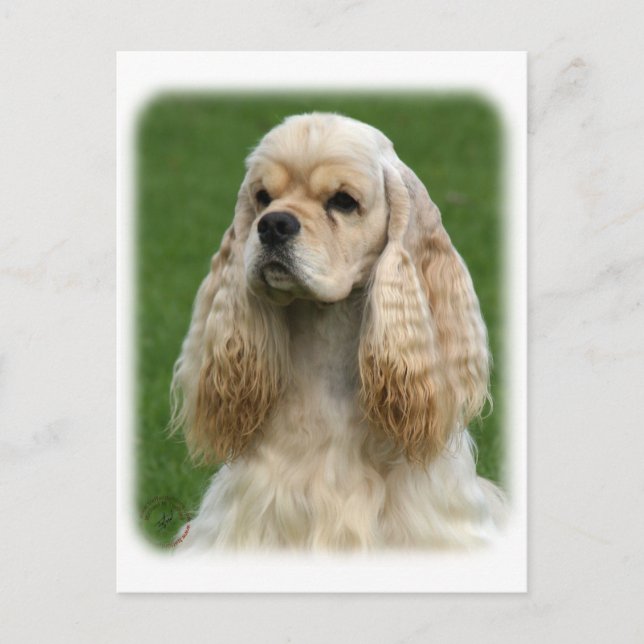 Postal American Cocker Spaniel 9Y244D-035_2 (Anverso)