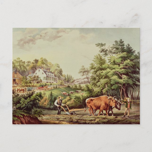 Postal American Farm Scenes (Anverso)