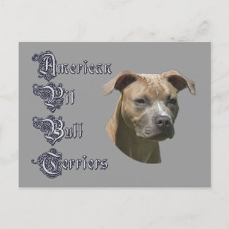 Postal American Pit Bull Terrier (APBT)