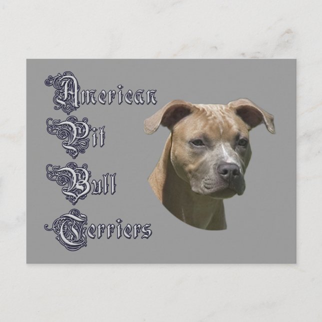 Postal American Pit Bull Terrier (APBT) (Anverso)