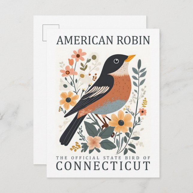 Postal American Robin Bird of Connecticut USA Travel (Anverso / Reverso)