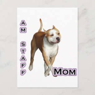 Postal American Staffordshire Mom 4