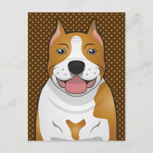Postal American Staffordshire Terrier (Amstaff)