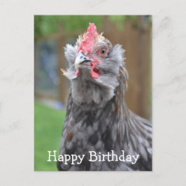 Postal Americana Rooster Feliz cumpleaños