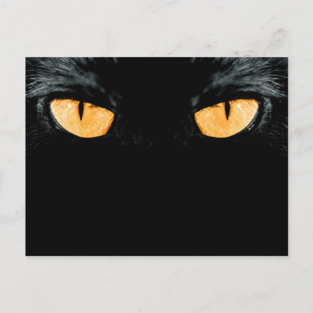 Postal amigo (Anverso)