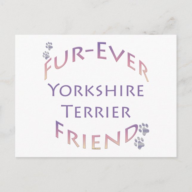 Postal Amigo para Siempre Yorkshire Terrier (Anverso)
