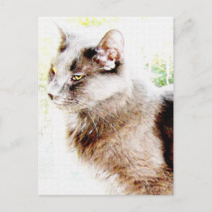 Postal ¡amigo primaveral PoStCaRd!
