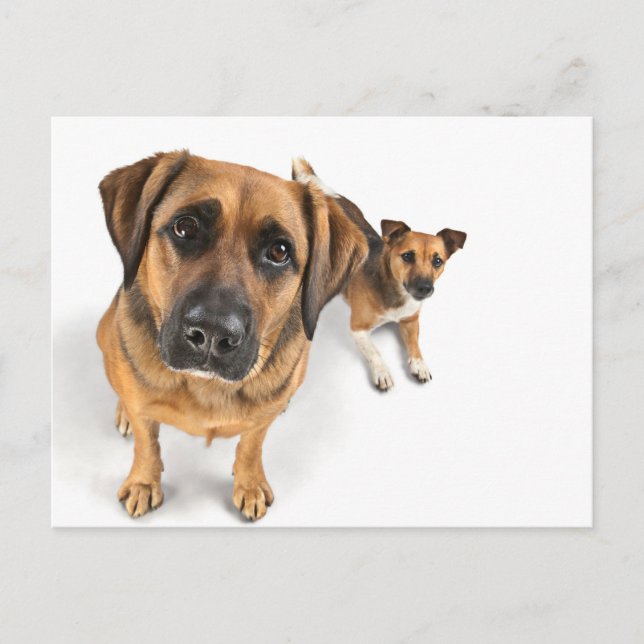 Postal amigos (Anverso)