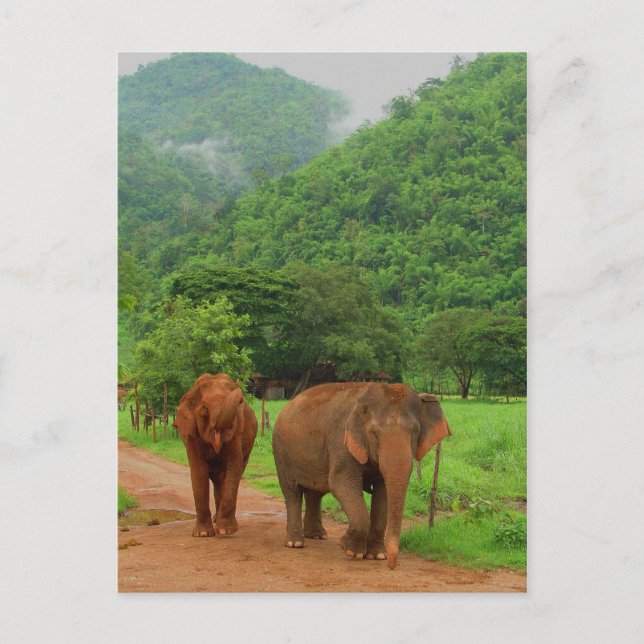 Postal Amigos (Anverso)