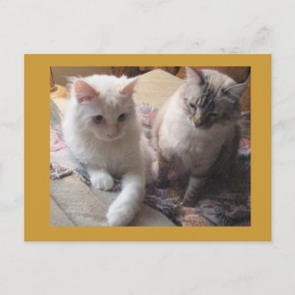 Postal Amigos alegres