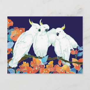 Postal Amigos de Cockatoo