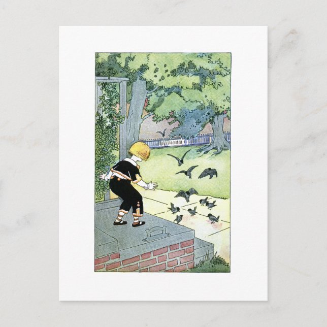 Postal Amigos de pájaro (Anverso)