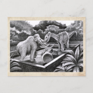 Postal Amigos de PygmyPets - Postcard