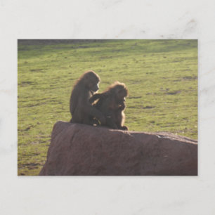 Postal Amigos del dinero