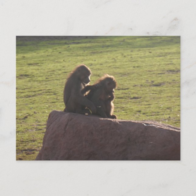 Postal Amigos del dinero (Anverso)