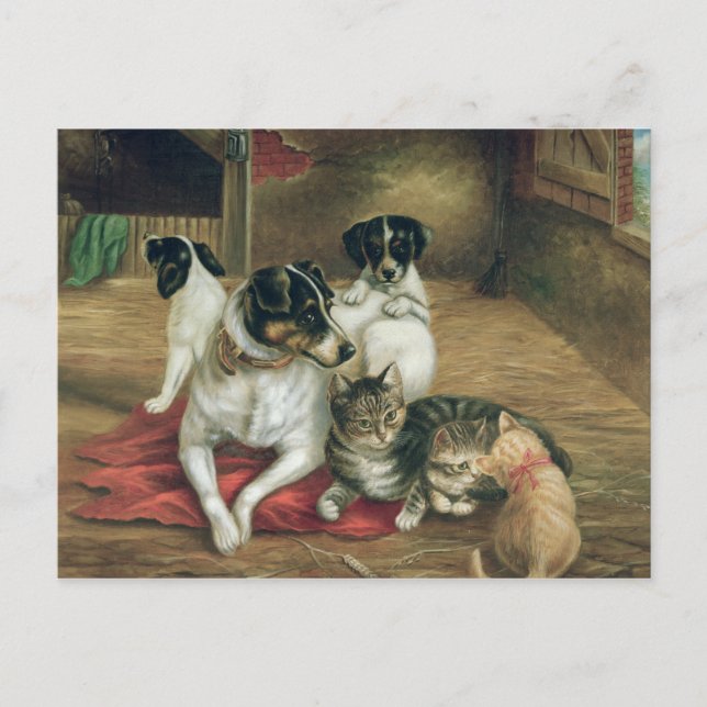 Postal Amigos estables (Anverso)