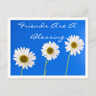 Postal Amigos Florales Flores de Margarita Blanca Amistad