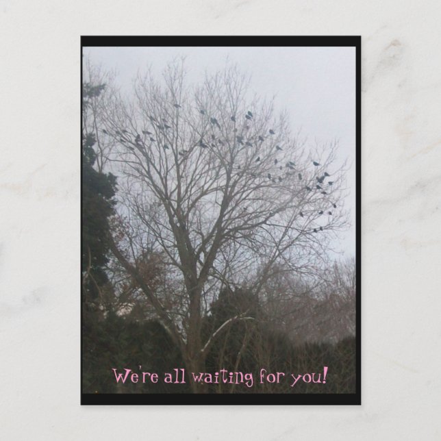 Postal amigos raven (Anverso)