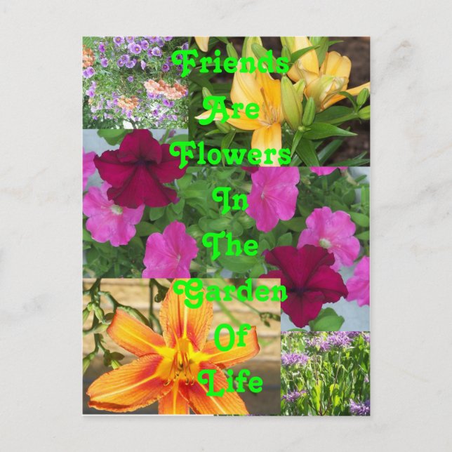 Postal Amigos son flores...    postalPC78 (Anverso)