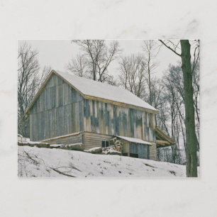 Postal Amish Barn-Postcard