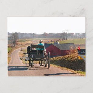 Postal Amish Boy conduce un buggy abierto