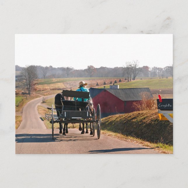 Postal Amish Boy conduce un buggy abierto (Anverso)