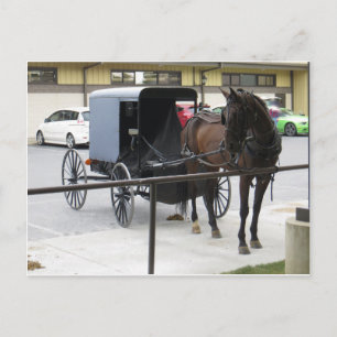 Postal Amish Buggy