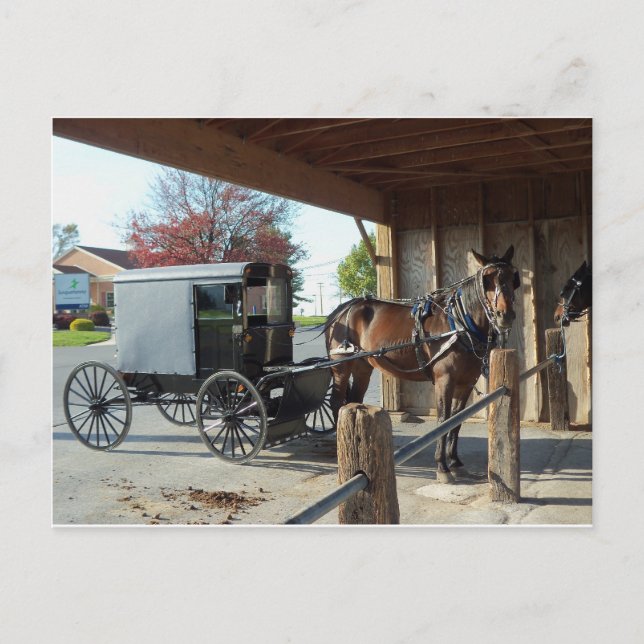 Postal Amish Buggy, 1 (Anverso)