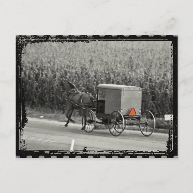 Postal Amish Buggy Monocrome (Anverso)