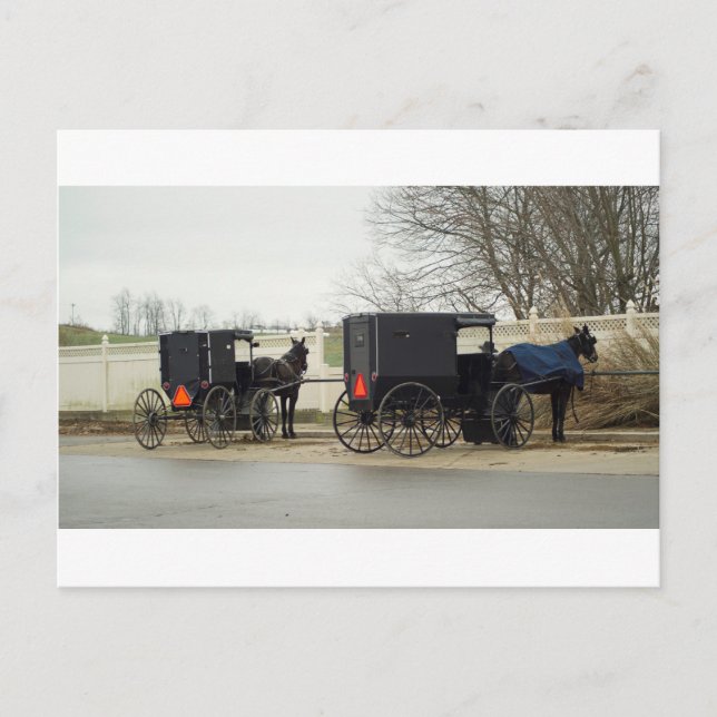 Postal Amish Buggy "Parking Lot" (Anverso)