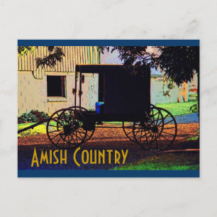 Postal Amish Buggy Postcard