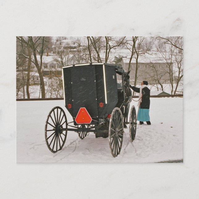 Postal Amish Buggy-Postcard (Anverso)