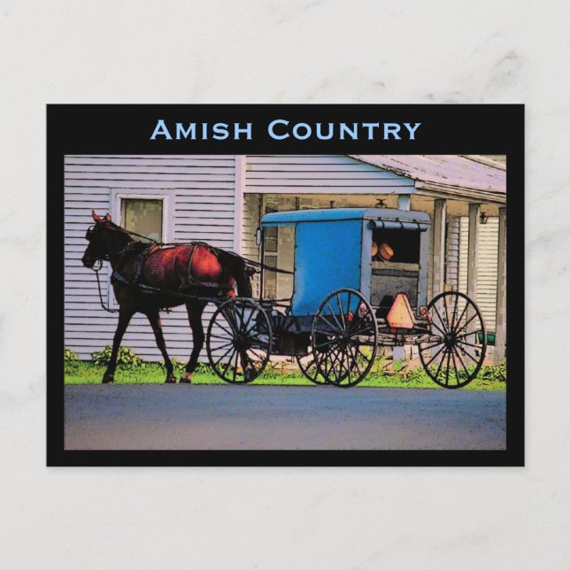 Postal Amish Buggy Postcard (Anverso)