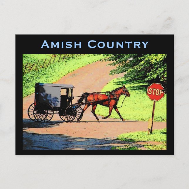 Postal Amish Buggy Postcard (Anverso)