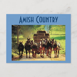 Postal Amish Country - Personalizada